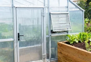 Greenhouse detail
